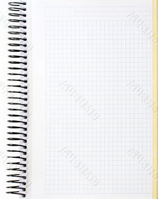 Blank notebook sheet