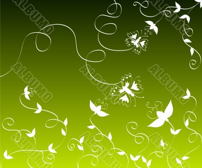 Flowers and butterflies