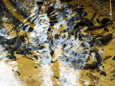 background water