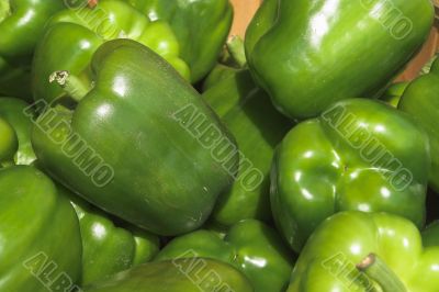 Green Bell Peppers