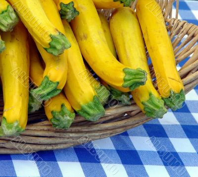 Basket with zucchini