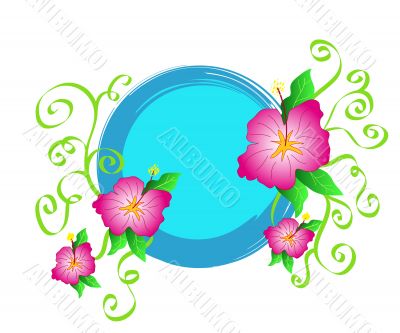 Hibiscus flowers