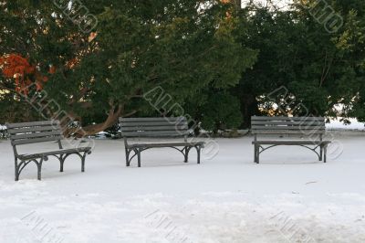 Three Benches in Snow