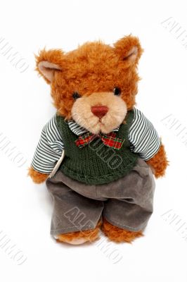 Toy bear