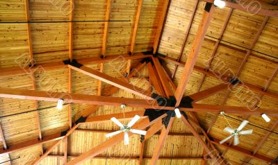 Natural Wood Ceiling