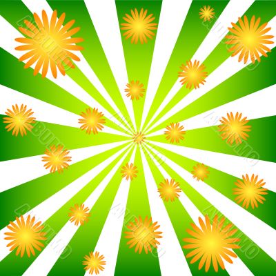 Rays and flowers