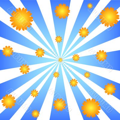 Rays and flowers