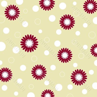 Colorful flowers