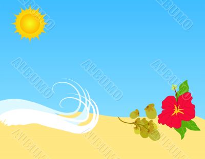 Tropical beach