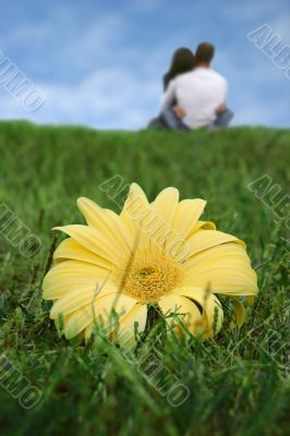 couple behind a big flower