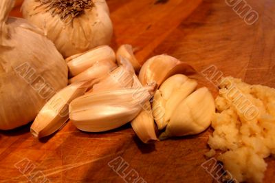 Garlic