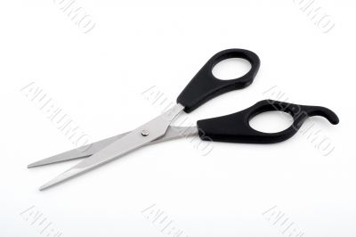 Black scissors