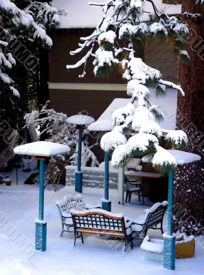 Backyard covered with snow