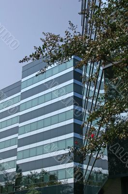 Blue Building in Trees