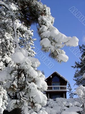 Cabin in the snow