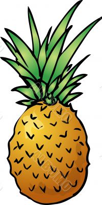 Pineapple