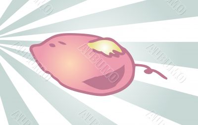 Flying pig