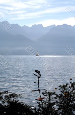 Yacht on a lake