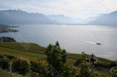 Farm next to the lake