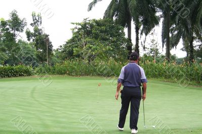 Tropical golf