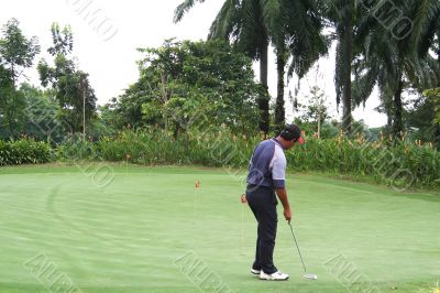 Tropical golf