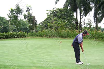 Tropical golf