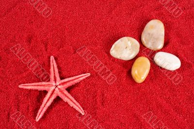 Starfish and stones on the red sand