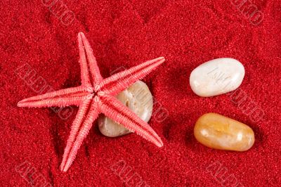 Starfish and stones on the red sand