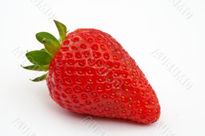 Strawberry macro shot