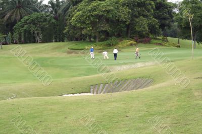 Golfers