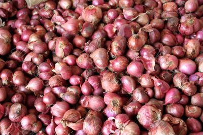 Onions