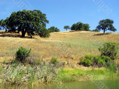 California Hills