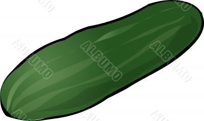 Cucumber