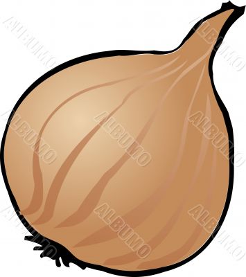 Yellow onion