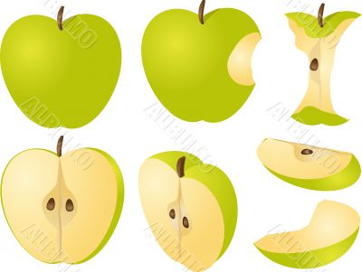 Apple illustration
