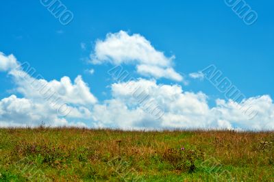 Green field, blue sky and white clouds