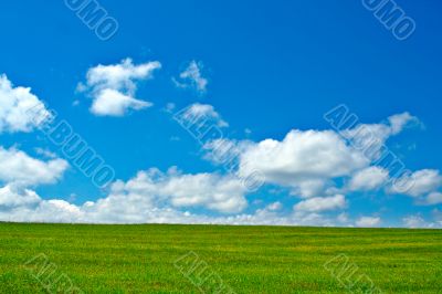 Green field, blue sky and white clouds
