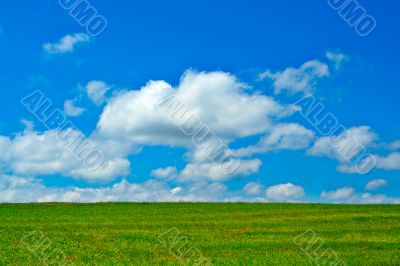 Green field, blue sky and white clouds