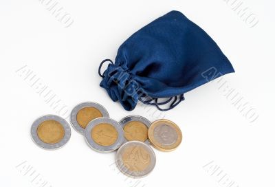 Coins out of the bag