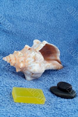 Bath accessories on blue background