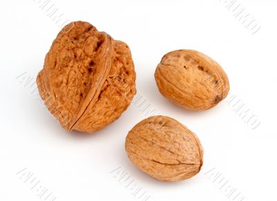 Three walnuts isolated
