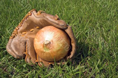 Baseball Glove & Onion
