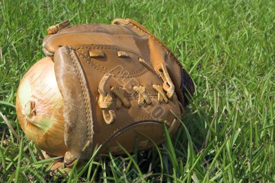Baseball Glove & Onion