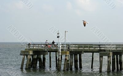 Fishing Off Pier