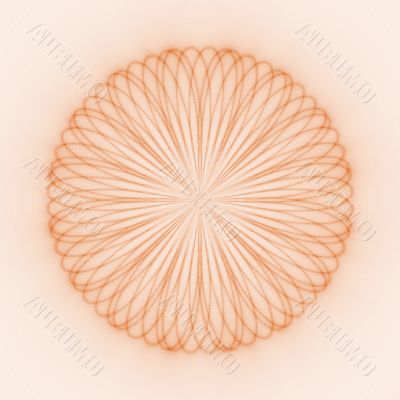 Abstract Flower Design