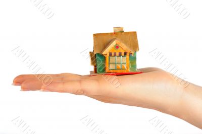 House on the hand