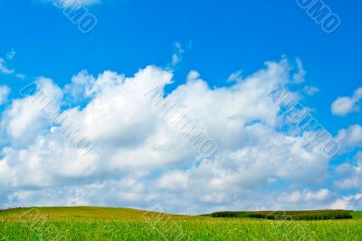 Green field, blue sky and white clouds