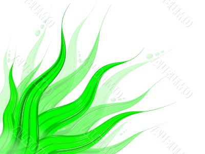 Plant Background