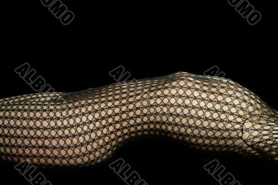 woman in net