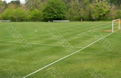 Soccer Field